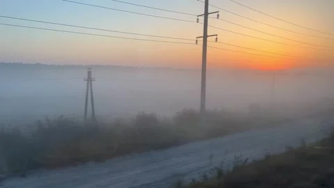 A view from the window of a train that is moving. In the mist of trees. Sunrise Stock Footage 253857702