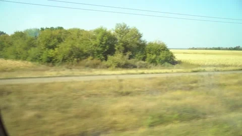 View from the window of the train that travels through the fields. The train Video stock 162551117