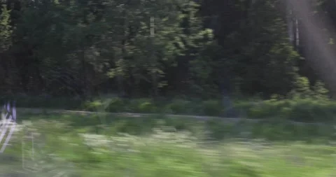 View from the window of a traveling  Stock Footage 220517251