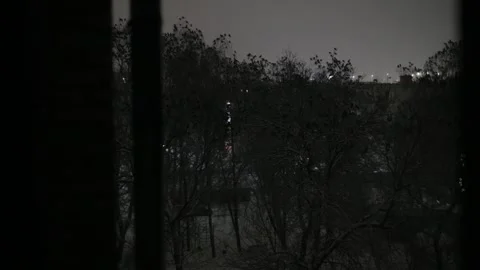 View from the window of trees with birds. A huge flock of birds sits on the Stock-Footage 262421975