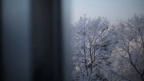 View from a window in the trees in the snow Stock Footage 95042804
