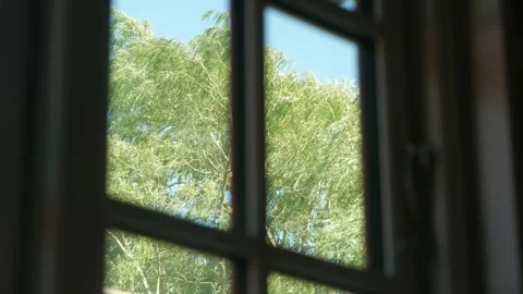 View from window on weeping willow tree swaying in strong wind Stock Footage 279968939