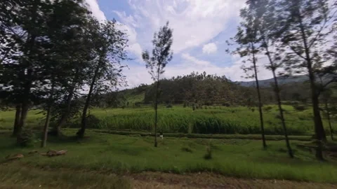 View from the window while driving in rural Rwanda Stockbeeldmateriaal 245133891