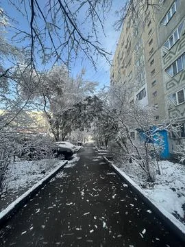 View from the window white snow on the branches of trees Stock Photos