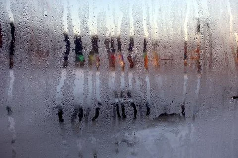 View from the window of a winter forest. Stock Photos