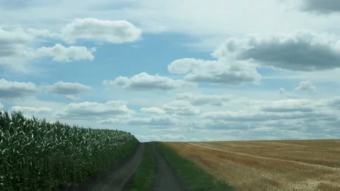 View from the windshield of a car looking at passing corn fields Stock Footage 164110927