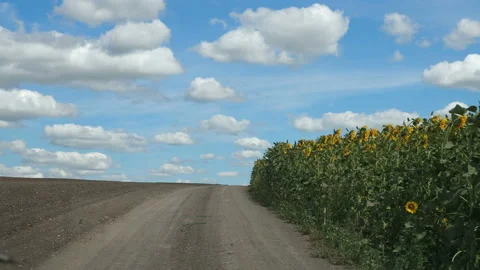 View from the windshield of a tractor driving on a rough rural road next to a Stock Footage 164111001