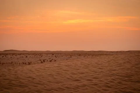 View of windy sand dunes deep in desert of Abu Dhabi - United Arab Emirates. Stock Photos