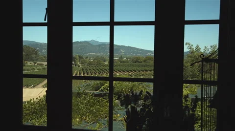 View from winery Stock Footage 45251412