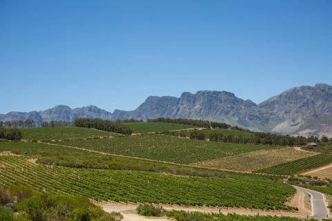 View of a winery Foto stock