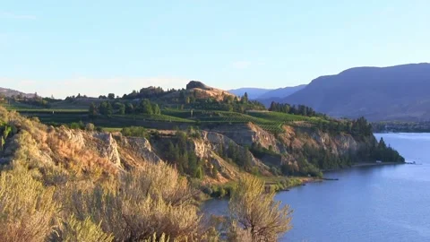 View of a winery vineyard on the Naramata Bench in Penticton, British Columbi Video stock 202008710