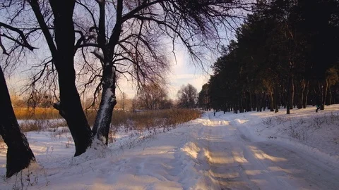 View on the winter countryside road Stock Footage 102110404
