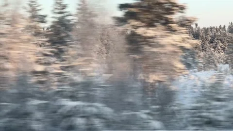 View of the winter forest landscape from the window of a moving train on a sunny Stock-Footage 168428737