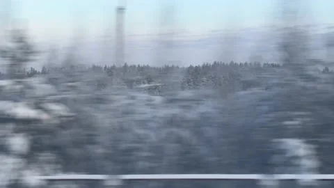 View of the winter forest landscape from the window of a moving train Stock-Footage 168428747