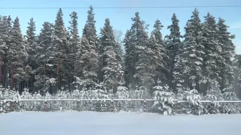 View of the winter forest landscape from the window of a moving train Stock-Footage 168428826