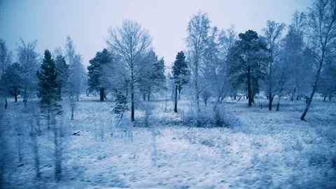 View of the winter forest from the window of a moving train Stock Footage 96600578