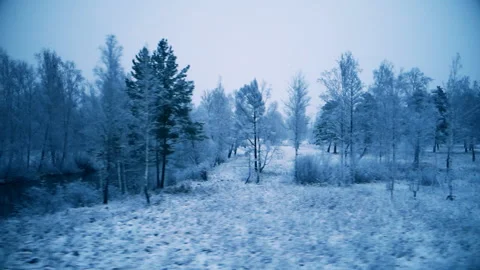 View of the winter forest from the window of a moving train 스톡 동영상 96695206