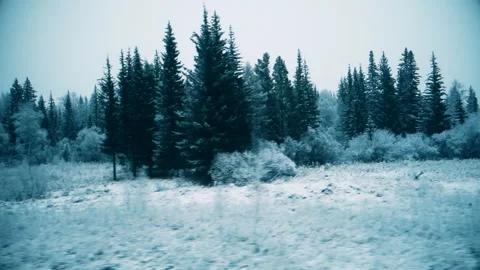 View of the winter forest from the window of a moving train Stock-Footage 100425813