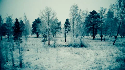View of the winter forest from the window of a moving train Stock-Footage 100426253