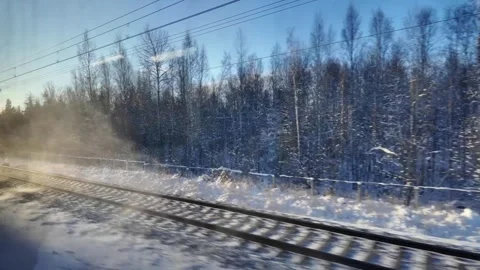 View of a winter forest from the window of a moving train. Stock Footage 331426098