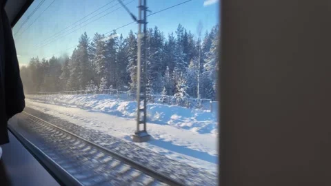 View of a winter forest from the window of a moving train. Vídeo Stock 331426099