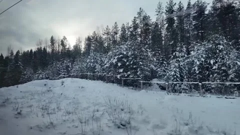 View of a winter forest from the window of a moving train. Vídeos de archivo 331426113