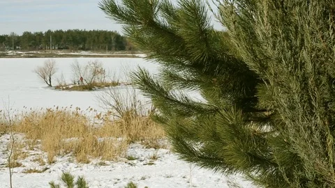 View of the winter lake. Stock Footage 106408665
