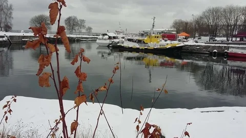 View of Winter Landscape. Stock Footage 69802184