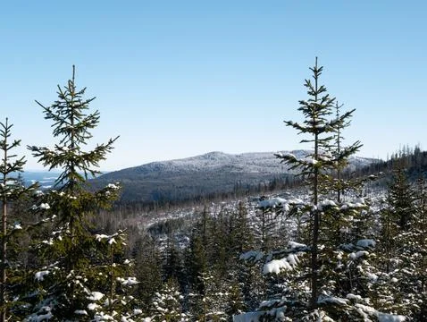 View of winter landscape Stock Photos