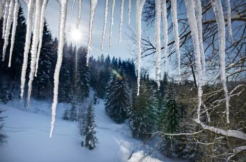 View of the winter landscape through the ice icicles Stock Photos