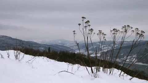 View of winter mountains in snow in winter Stock Footage 258791939