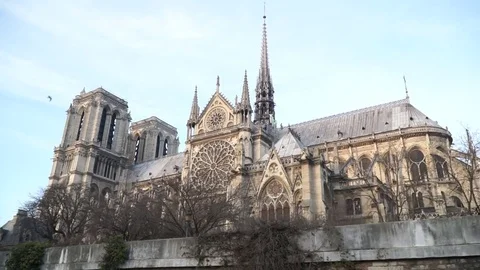 View of the winter Notre Dame de Paris Stock Footage 73201212