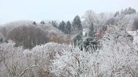 View Winter Park Stock Footage 45933651