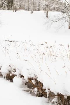 View of the winter Park in the white fluffy snow Stock Photos