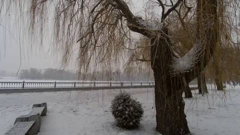 View of the winter river Stock Footage 104659701