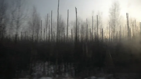 View from the winter train 11, high bitrate Stock Footage 122677888