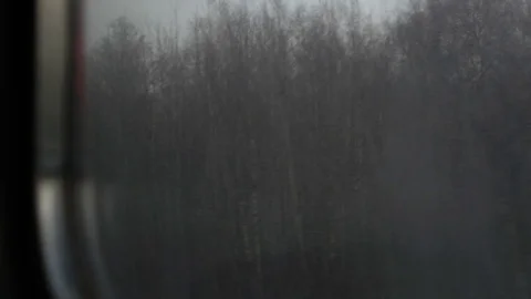 View from the winter train, high bitrate Stock Footage 122674712