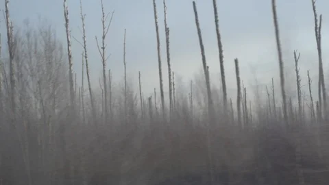 View from the winter train_4, high bitrate Stock Footage 122674813