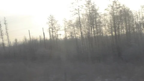 View from the winter train_5, high bitrate Stock Footage 122674818