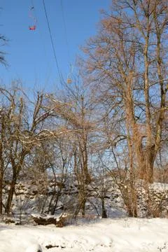 View of winter trees with cable car Stock Photos
