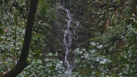 View on winter watefall Stock Footage 106398751