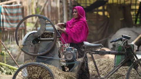 View of a woman operating a fodder cutting machine, Bangladesh. Stock Footage 335561305
