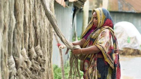 View of a woman processing raw jute fibers in a village, Bangladesh. Stock Footage 335558622