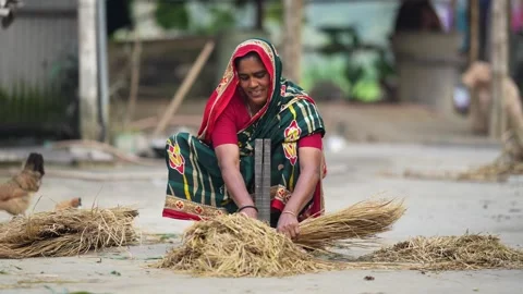 View of a woman processing rice straw in a rural village, Bangladesh. Stock Footage 335561485