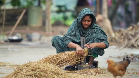 View of a woman processing straw in a rural village, Bangladesh. Video stock 335561433