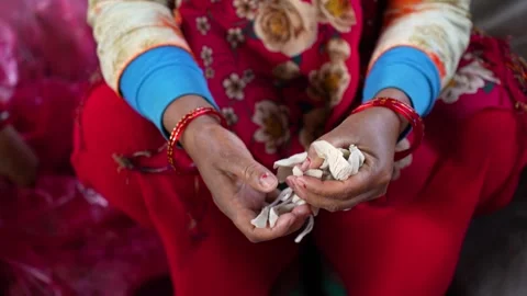 View of a woman processing white cotton fibers in Dhangadhi, Nepal. Video stock 335472374