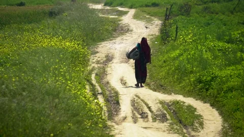 View of a woman walking on a rural path in Bangladesh. Stock Footage 343683884