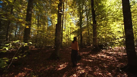 View of woman's back walking along the gorgeous trees and turning around herself Stock Footage 204052220
