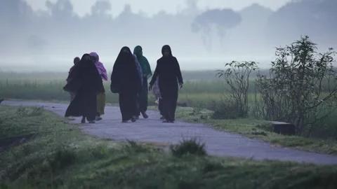 View of women walking on a rural path in the mist, Bangladesh. Stock Footage 335550539