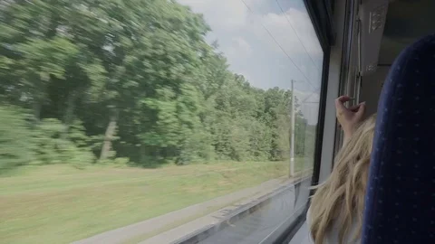 View of the wood and environment from a window train Stock Footage 78110339